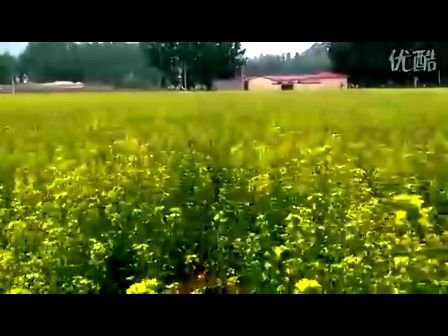 绿洲户外的介绍