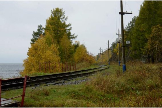 僻的拼音组词部首音序