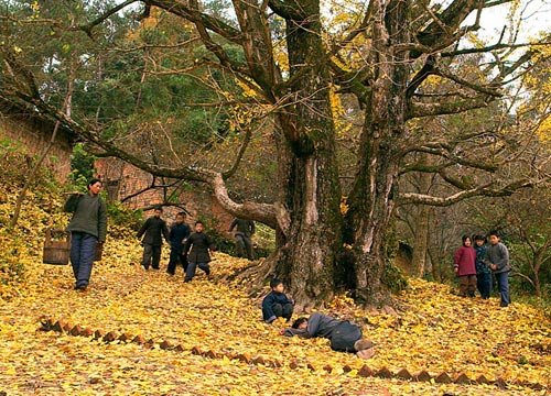 《落经山》为什么是禁片?难道不好看?