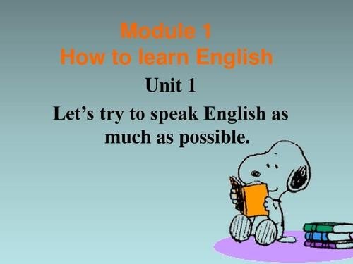 as much as是什么意思？