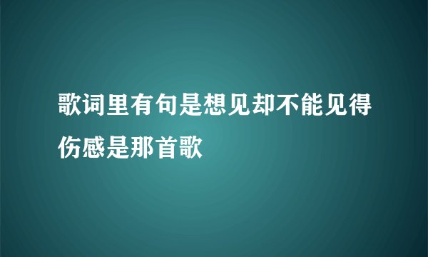 歌词里有句是想见却不能见得伤感是那首歌