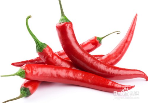 天气冷了该怎么办