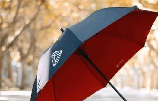 中国最好的雨伞品牌排行榜