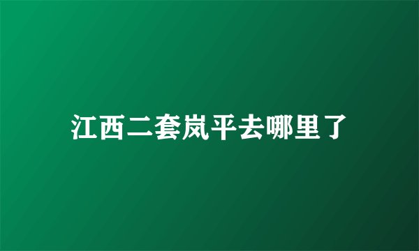 江西二套岚平去哪里了