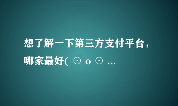想了解一下第三方支付平台，哪家最好( ⊙ o ⊙ )啊！？