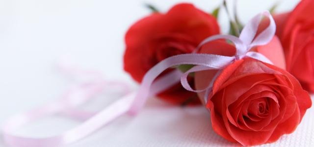 二十朵玫瑰花代表什么意思