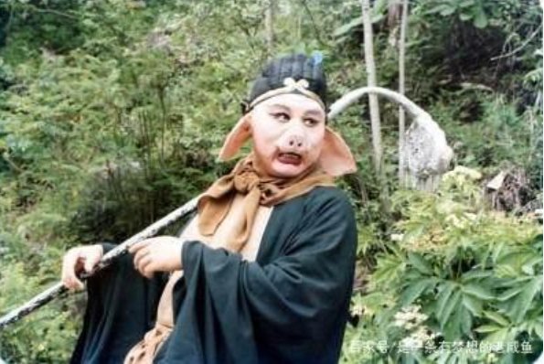 猪八戒在取经路上,他起到了什么作用?