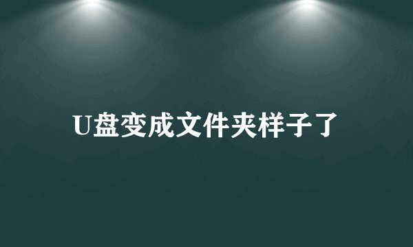 U盘变成文件夹样子了
