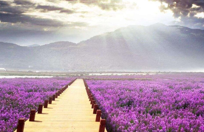 不是每一次的付出都会有回报,如何才能让自己变得坦然点?