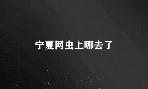 宁夏网虫上哪去了