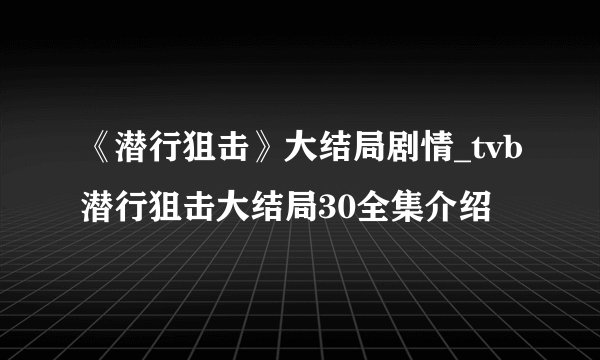 《潜行狙击》大结局剧情_tvb潜行狙击大结局30全集介绍