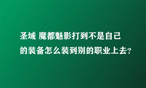 圣域 魔都魅影打到不是自己的装备怎么装到别的职业上去？