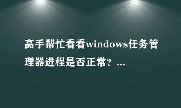 高手帮忙看看windows任务管理器进程是否正常？电脑慢的不行了~~~哭死。。。