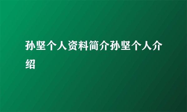 孙坚个人资料简介孙坚个人介绍