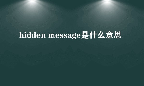 hidden message是什么意思