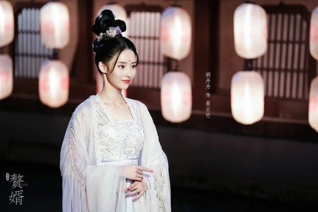 赘婿电视剧讲述了什么故事？