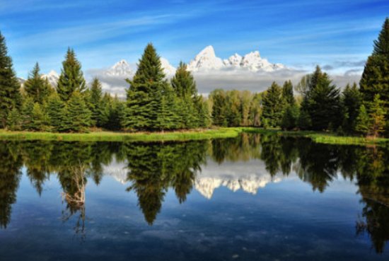 水中为什么会出现倒影