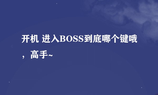 开机 进入BOSS到底哪个键哦，高手~