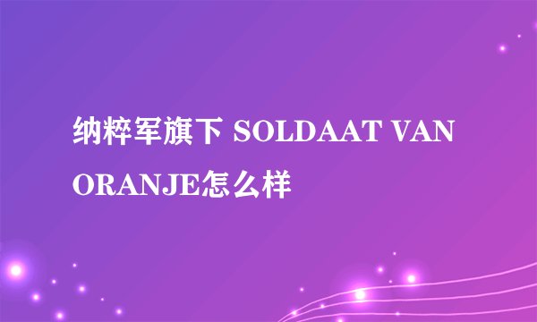 纳粹军旗下 SOLDAAT VAN ORANJE怎么样