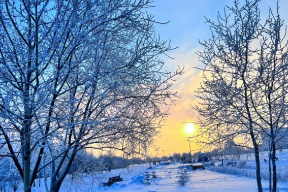 好美是什么意思