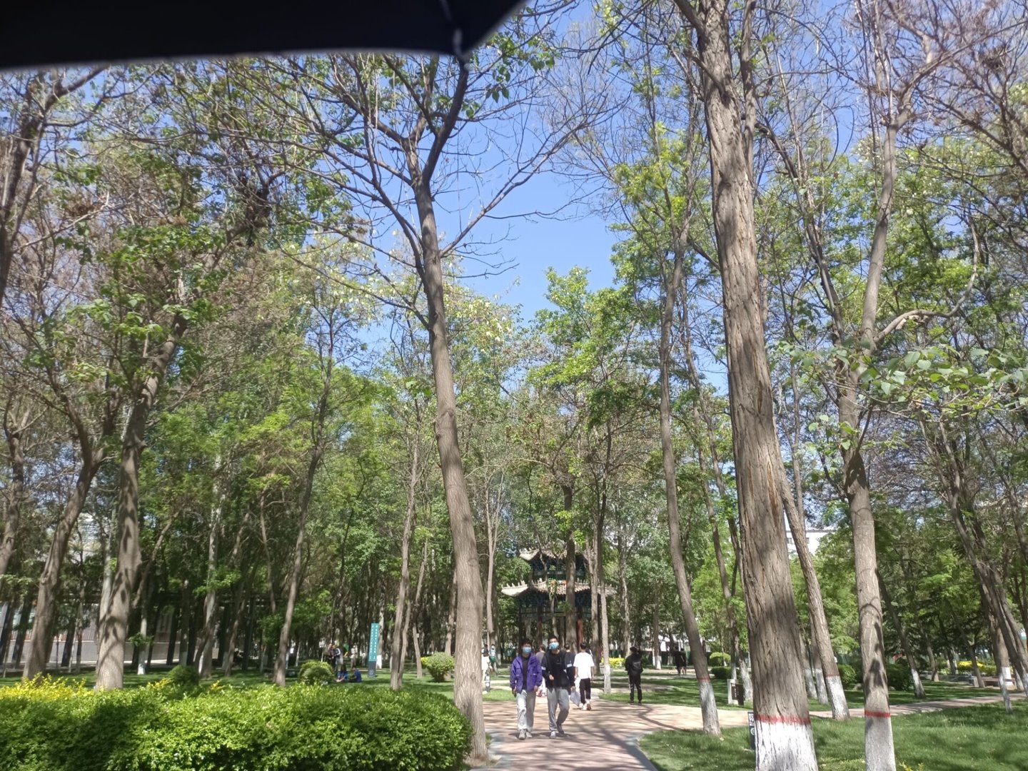 甘肃农业大学怎么样？