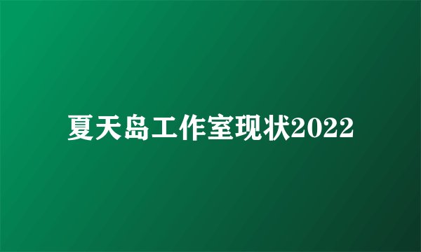 夏天岛工作室现状2022