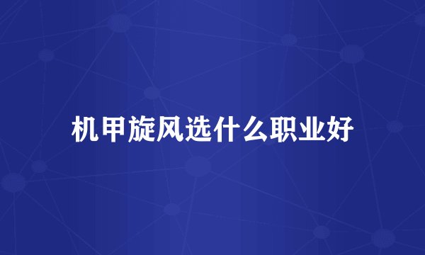机甲旋风选什么职业好