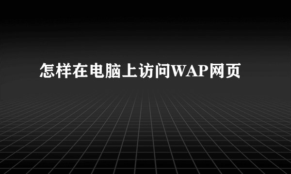 怎样在电脑上访问WAP网页