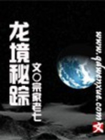 龙境秘踪的作品简介