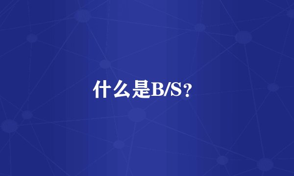 什么是B/S？