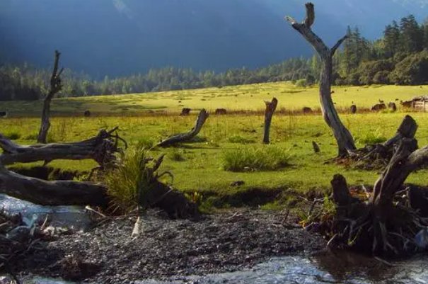 四川省招办电话