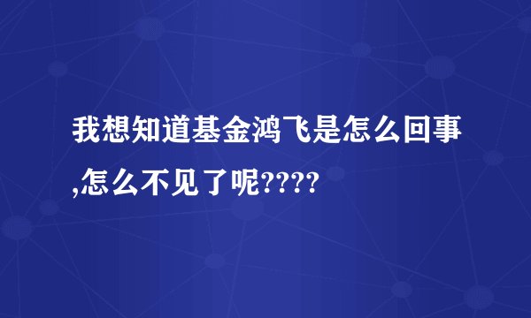 我想知道基金鸿飞是怎么回事,怎么不见了呢????