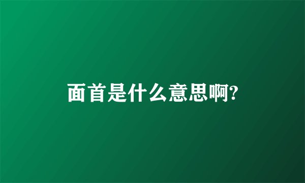 面首是什么意思啊?