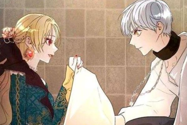 保护女主角哥哥的方法原著小说？