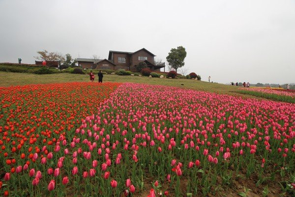 4月30日火车票290万张，“五一”假期有望迎来“爆发式出游”吗？