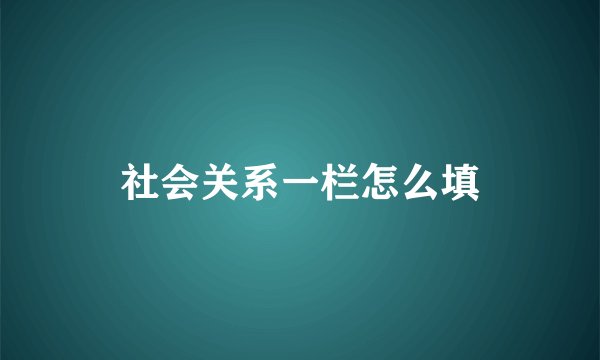 社会关系一栏怎么填