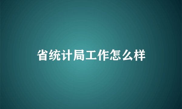 省统计局工作怎么样