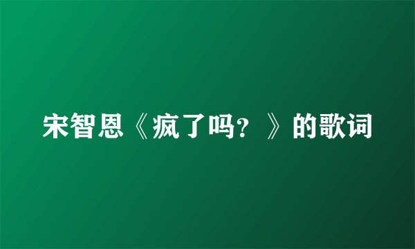 宋智恩《疯了吗？》的歌词