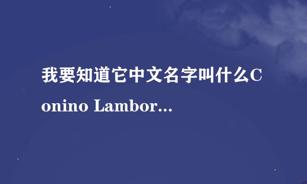 我要知道它中文名字叫什么Conino Lamborghini