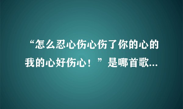 “怎么忍心伤心伤了你的心的我的心好伤心！”是哪首歌的歌词？