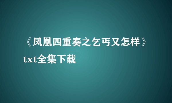 《凤凰四重奏之乞丐又怎样》txt全集下载