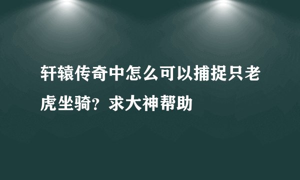 轩辕传奇中怎么可以捕捉只老虎坐骑？求大神帮助
