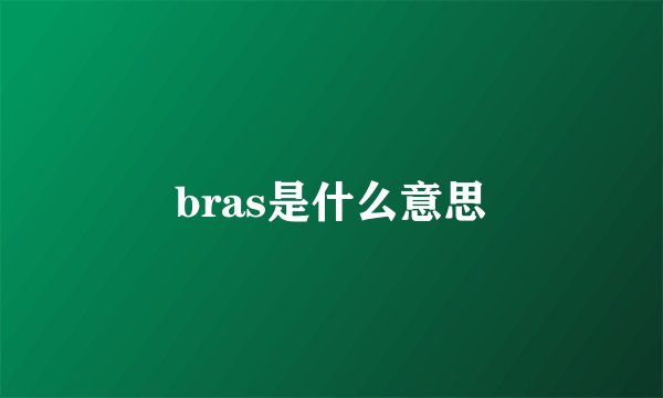 bras是什么意思