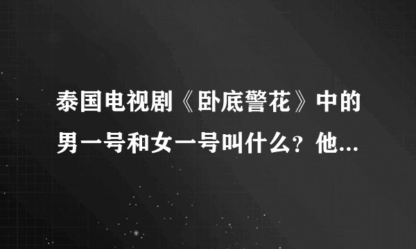 泰国电视剧《卧底警花》中的男一号和女一号叫什么？他们在泰国有名吗？