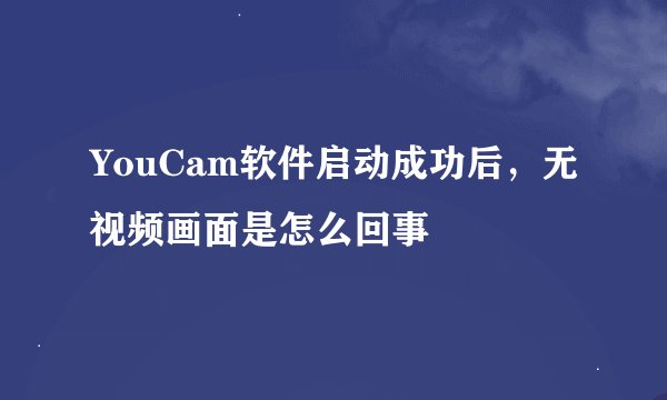 YouCam软件启动成功后，无视频画面是怎么回事