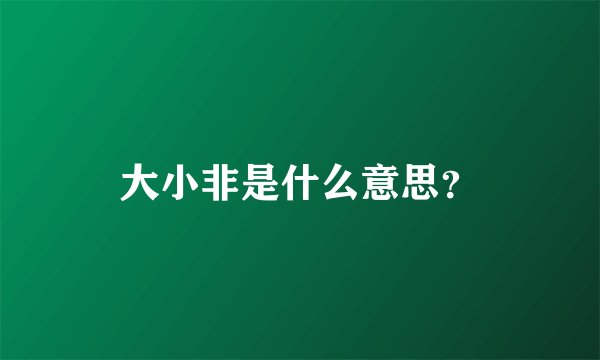 大小非是什么意思？
