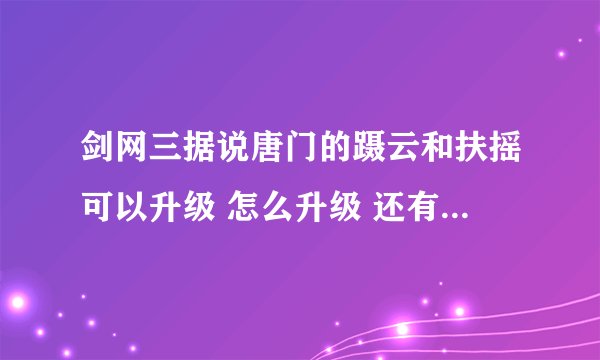 剑网三据说唐门的蹑云和扶摇可以升级 怎么升级 还有满级效果什么样