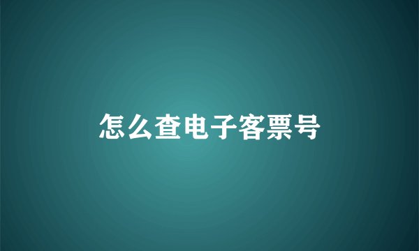 怎么查电子客票号