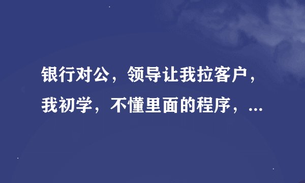 银行对公，领导让我拉客户，我初学，不懂里面的程序，应该怎么拉？怎么样才能拉到？
