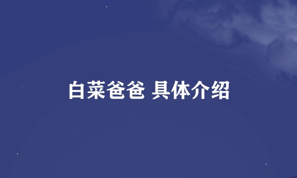 白菜爸爸 具体介绍